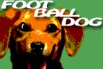 FootballDog (Футбол в Собачки)