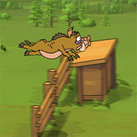 Kaban Racetrack \ Кабаньи бега