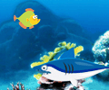 My big fish