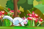 Забавный кроля /  Funny bunny
