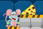 Сырная лаборатория  / Cheese lab