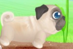 Щенок Мопс / Pug The Dog